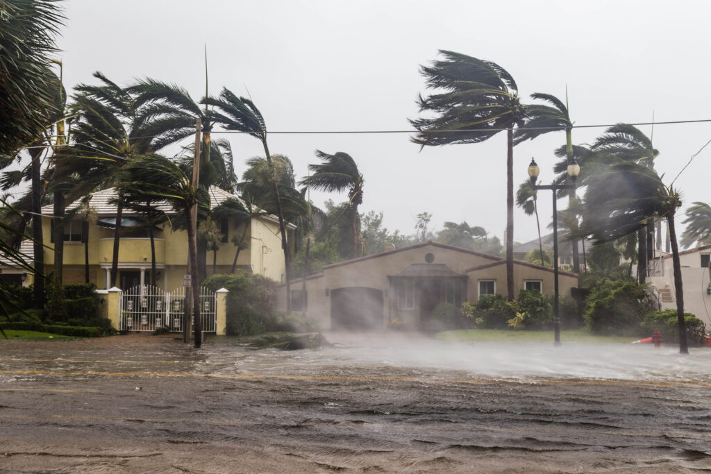 Hurricane Helene Relief Program